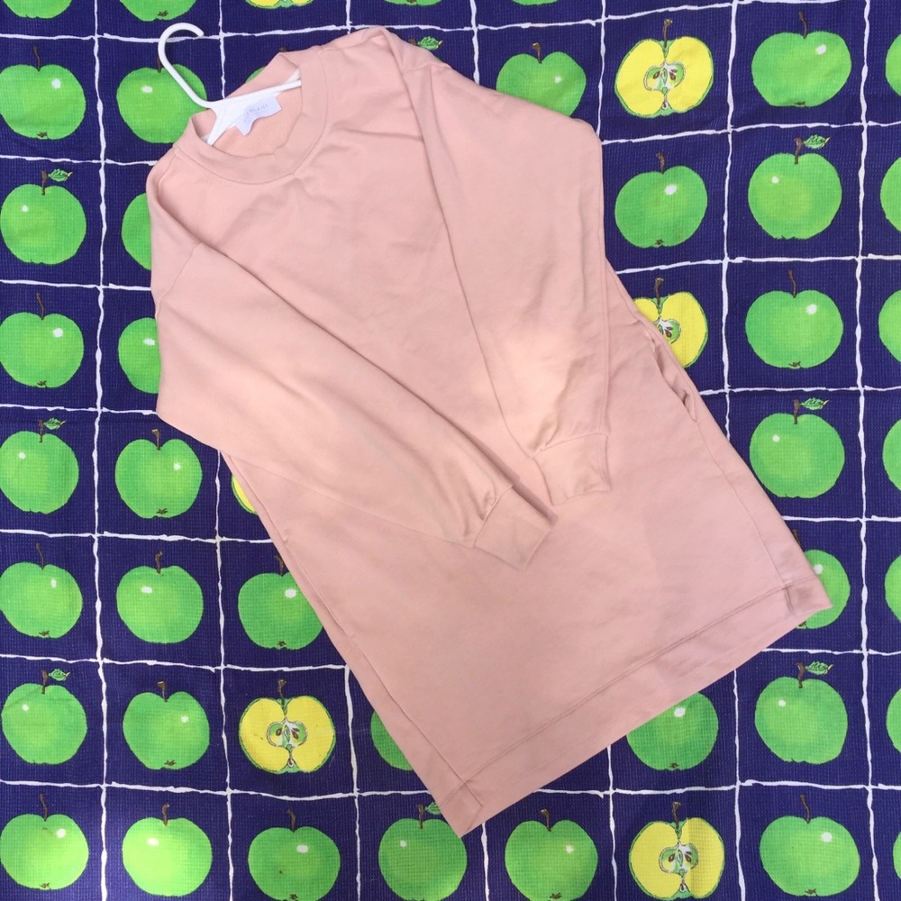 SHOP CLOSED Everlane blush pink sweatshirt dress